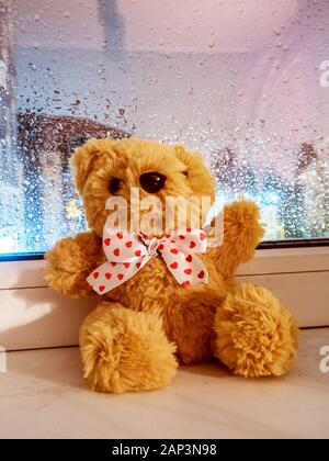 Fluffy teddy bear sits on the windowsill with wet glass from the rain Stock Photo