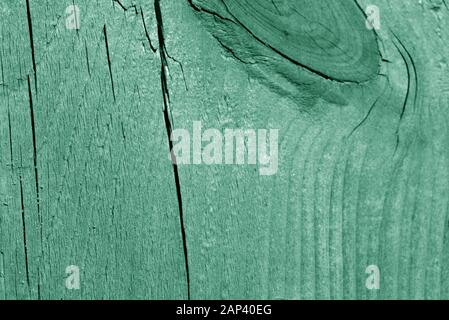 Wooden surface texture close up. Abstract background green color toned Stock Photo