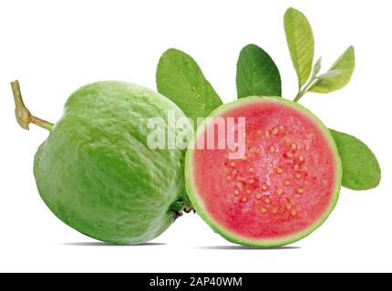 Fresh guava fruit isolated on white background Stock Photo