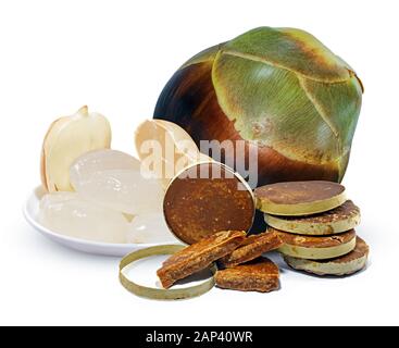 Palmyra palm or Toddy palm isolated on white background Stock Photo