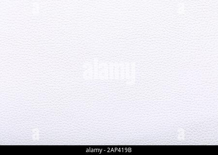 White leather skin texture used as background. Stock Photo