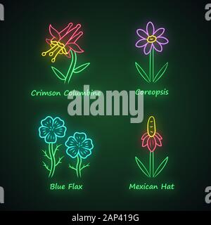 Wild flowers neon light icons set. Crimson columbine, coreopsis, blue flax, mexican hat. Blooming wildflowers, weed. Field, meadow plants. Glowing sig Stock Vector