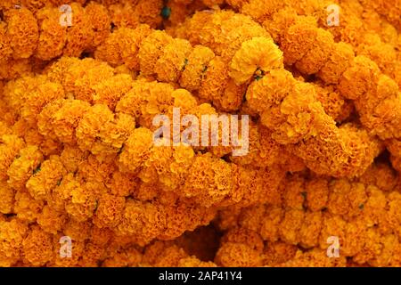 Marigold garlands for religious purpose in Hinduism Stock Photo