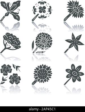 Wild flowers drop shadow black glyph icons set. Mexican hat, liatris ...