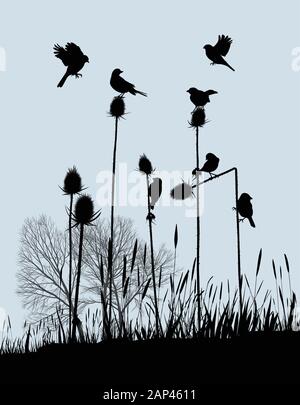 Tiny Birds on Thistles in Autumn Stock Vector