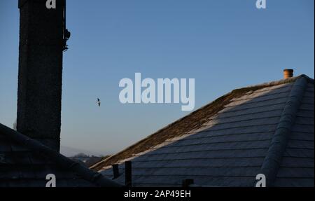 Poole, Dorset, UK. 21st January, 2020. Cold Weather in Poole, ice on roofs. Credit: Thomas Faull/Alamy Live News Stock Photo