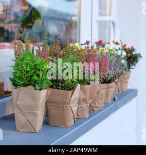 flowers near me, flower delivery Stock Photo - Alamy