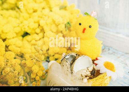 A composition for the celebration of Easter. Small decorative Chicks hatched from eggs in Mimosa flowers. Symbol of renewal of life. Holiday card. Stock Photo