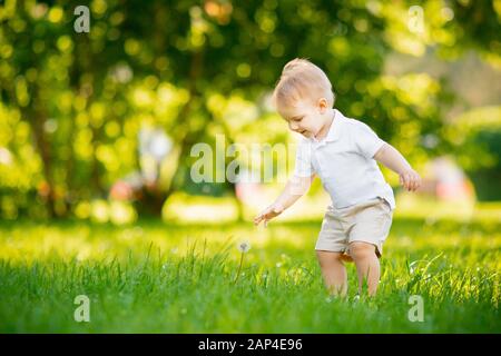 First step baby, Portrait boy crawling stand up in park Sunlight. Concept development, grow up Stock Photo