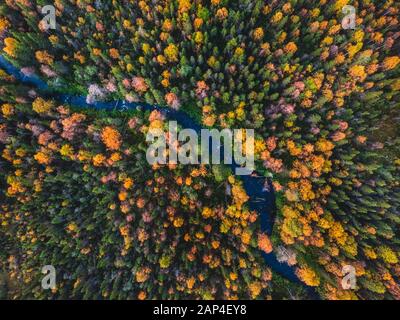 Beautiful autumn forest with yellow and red trees, blue mountain river, aerial top view Stock Photo
