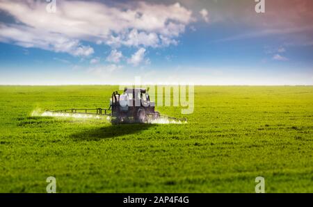 A farmer is pesticide the crops by a tractor. Stock Photo
