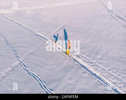 Cross-country skiing on track with dog malamute. Concept winter holiday. Aerial top view Stock Photo