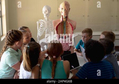 Group of elementary school kids using laptops Stock Photo