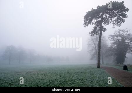 Chippenham, Wiltshire, UK. 21st Jan, 2020. As fog blankets many parts of the UK , fog begins to fall and cover a park in Chippenham, Wiltshire. Credit: Lynchpics/Alamy Live News Stock Photo