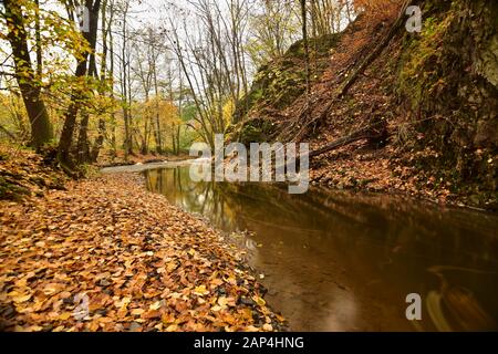 Autumn colors in a slowly flowing creek Stock Photo - Alamy