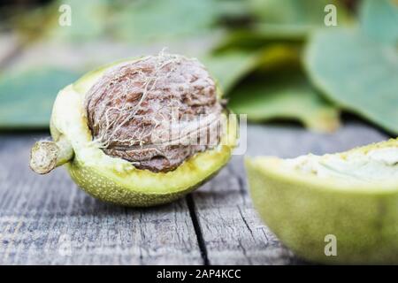 Fresh walnuts in a green shell on an old wooden table. Nuts in green shells. Harvest walnuts. Stock Photo