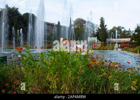 Mysore, Karnataka / India - January 01 202: Beautiful flowers and water fountains in Brindavan Gardens during sunset with KRS dam in background, Mysor Stock Photo