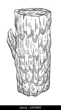 Wooden log and cut tree trunk hand drawn illustration Stock Vector