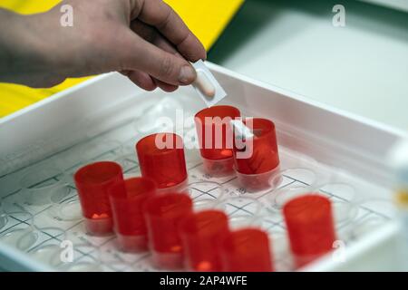 Duesseldorf, Germany. 21st Jan, 2020. A nurse prepares medication for the residents of a nursing home. Free nursing care places should be accessible via the Heimfinder NRW App or the corresponding Internet site on a daily basis. Credit: Federico Gambarini/dpa/Alamy Live News Stock Photo