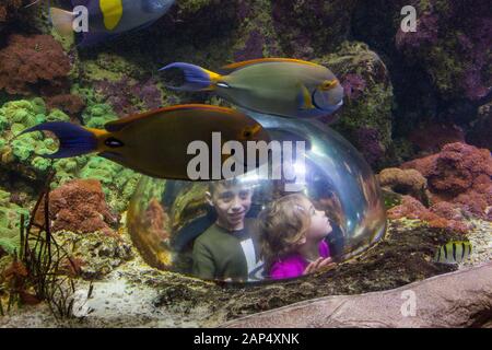 Haus Des Meeres Aquarium, a former German World War Two anti-aircraft flak tower in Esterhazypark, Vienna, Austria Stock Photo