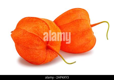 physalis path isolated on white Stock Photo