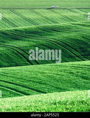 Rural landscape with agricultural fields on spring hills in South Moravia region, Czech Republic Stock Photo