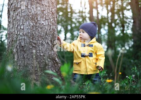 Kid in yellow jacket in forest near big tree Stock Photo