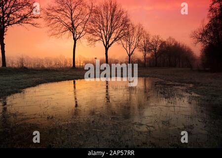 Reddish Sunrise in Diessen, the Netherlands with Tree Silhouettes VII Stock Photo