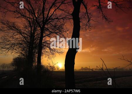Reddish Sunrise in Diessen, the Netherlands with Tree Silhouettes II Stock Photo