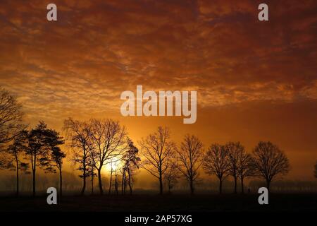 Bright Red Sunrise in Diessen, the Netherlands with Tree Silhouettes II Stock Photo