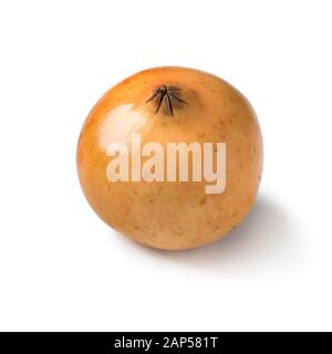 Single fresh white whole pomegranate isolated on white background Stock Photo