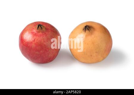 Single fresh white and red whole pomegranate isolated on white background Stock Photo