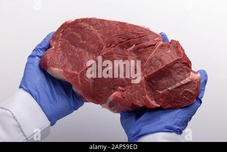 Lab worker in protective gloves holding piece of raw meat Stock Photo