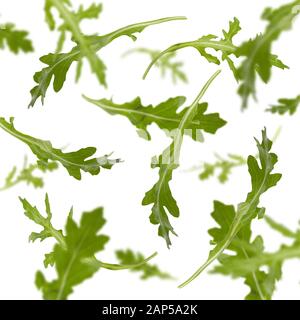 Flying rucola leaves isolated on white background Stock Photo