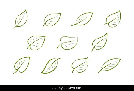 Natural green leaf logo. Nature, ecology icon or symbol vector Stock Vector