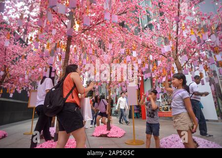 (200121) -- KUALA LUMPUR, Jan. 21, 2020 (Xinhua) -- Citizens take photos under artificial peach trees in Kuala Lumpur, Malaysia, Jan. 21, 2020. (Photo by Chong Voon Chung/Xinhua) Stock Photo