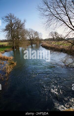 West Beck, in full flood, the river forms part of the River Hull and is noted as one of the finest chalk fishing stream in Europe, East Yorks Stock Photo