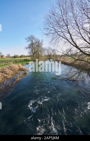 West Beck, in full flood, the river forms part of the River Hull and is noted as one of the finest chalk fishing stream in Europe, East Yorks Stock Photo