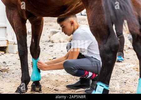 Riders preparing their mounts