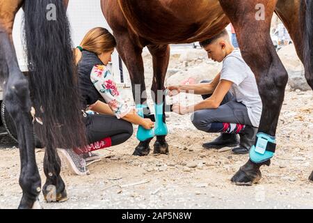 Riders preparing their mounts, putting shin guards on the horses