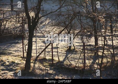 Orchard on frosty sunny winter morning, romantic atmospheric start of a happy day Stock Photo