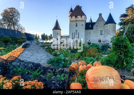 France, Indre et Loire, Loire Anjou Touraine Regional Natural Park, Lemere, Chateau du Rivau gardens, the Potager de Gargantua in October, cucurbits a Stock Photo