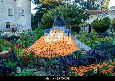 France, Indre et Loire, Loire Anjou Touraine Regional Natural Park, Lemere, Chateau du Rivau gardens, the Potager de Gargantua in October, cucurbits a Stock Photo