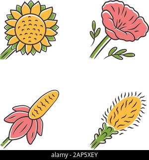 Wild flowers color icons set. Helianthus, California poppy, mexican hat, liatris. Blooming wildflowers, weed. Spring blossom. Field, meadow flowering Stock Vector