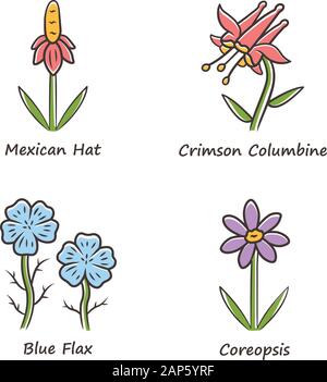 Wild flowers color icons set. Mexican hat, crimson columbia, blue flax, coreopsis. California flora with name inscription. Blooming wildflowers, weed. Stock Vector