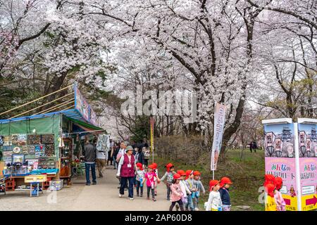 Hirosaki Park cherry blossoms in springtime. Many street vendors here during the festival. Visitors enjoy beauty full bloom pink flowers, food Stock Photo