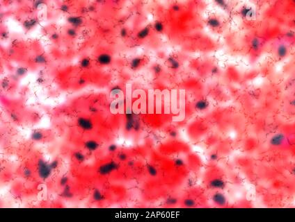 Seamless red black marble rock pattern Stock Photo