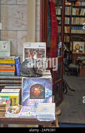 A street cat sleeps on books for sale outside a bookshop in the Kabatas Stock Photo