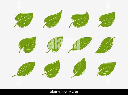 Green leaf icon set. Natural, organic logo or symbol vector Stock Vector