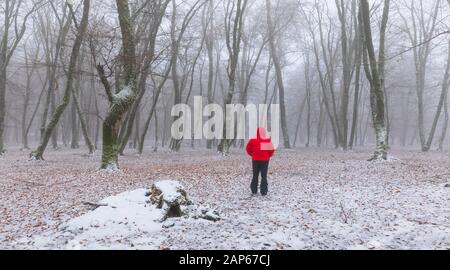 Gabala, Azerbaijan - January 20, 2020: Snow covered forest in fog Stock Photo